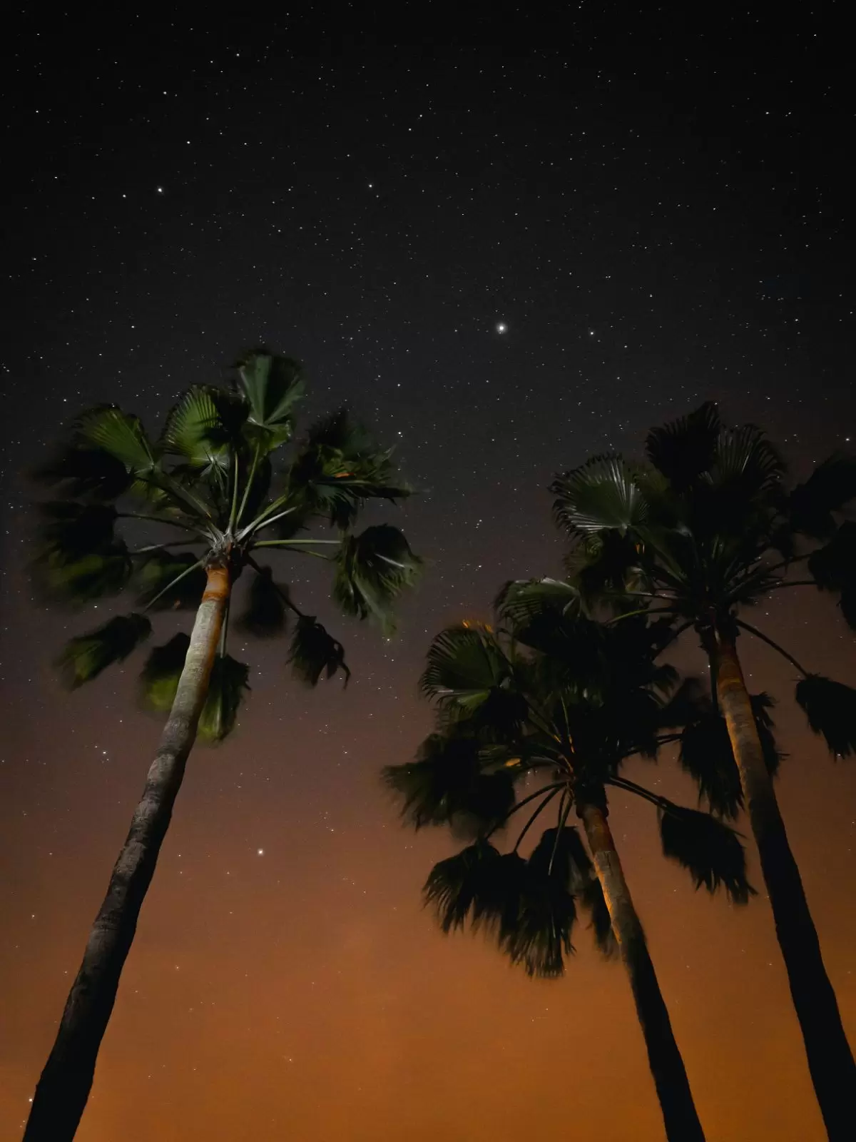 Plaža Vai – okružena šumom palmi