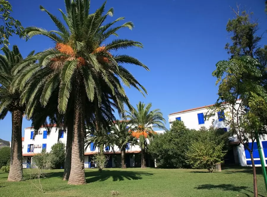 TN Slovenska Plaža 4* Crna Gora Budva