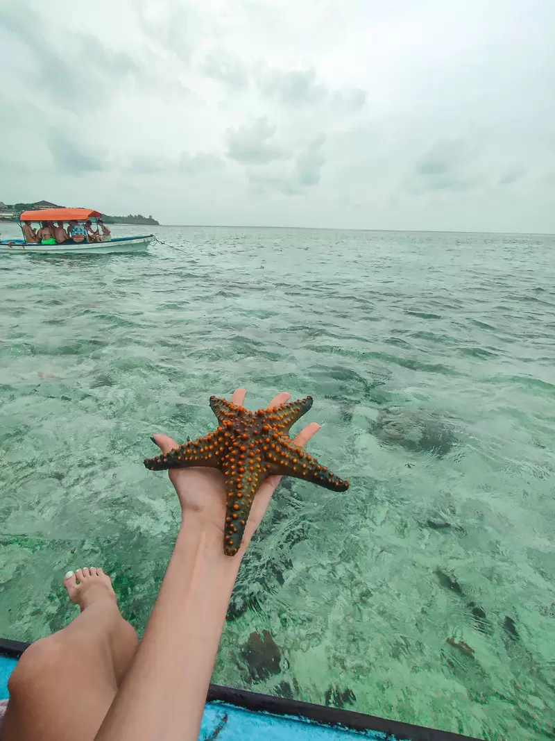 Zanzibar - Akcijska Ponuda