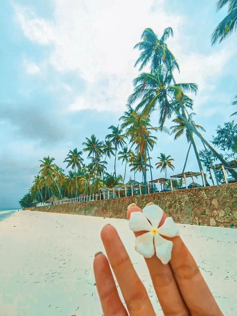 Letovanje Zanzibar Egzotične Destinacije