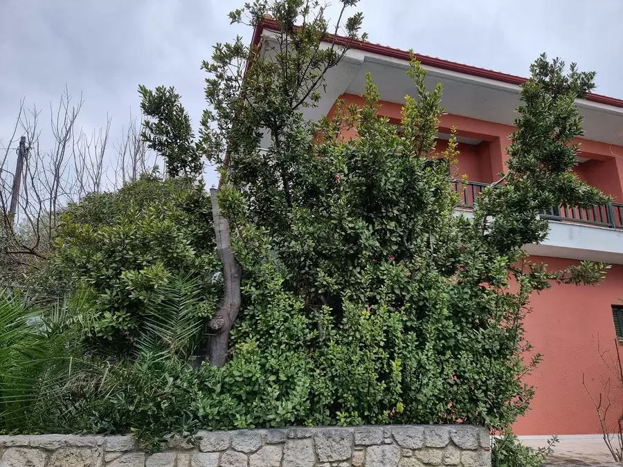 Vila Nikos 4