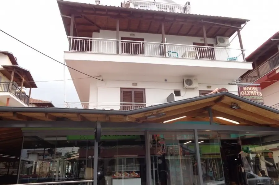 Vila Olympus House Leptokarija