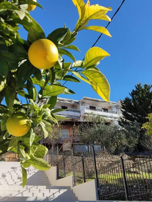 Vila Celestial Spa Sea View Grčka Lutra