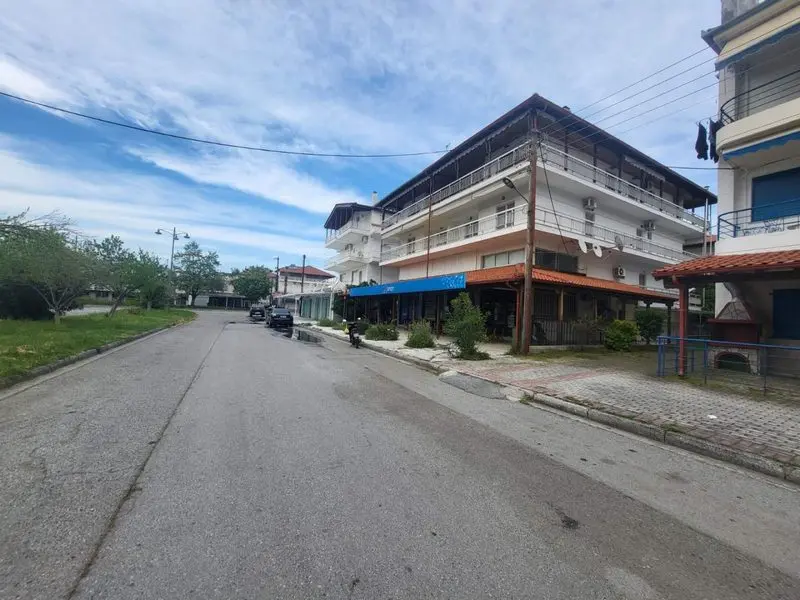 Vila Alkis Grčka Neo Pori