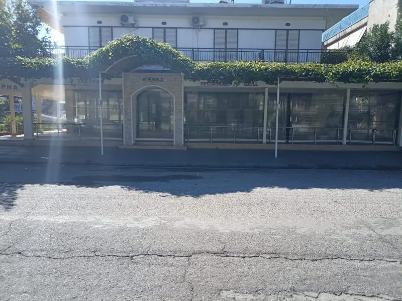 Vila Psata Grčka Nei Pori