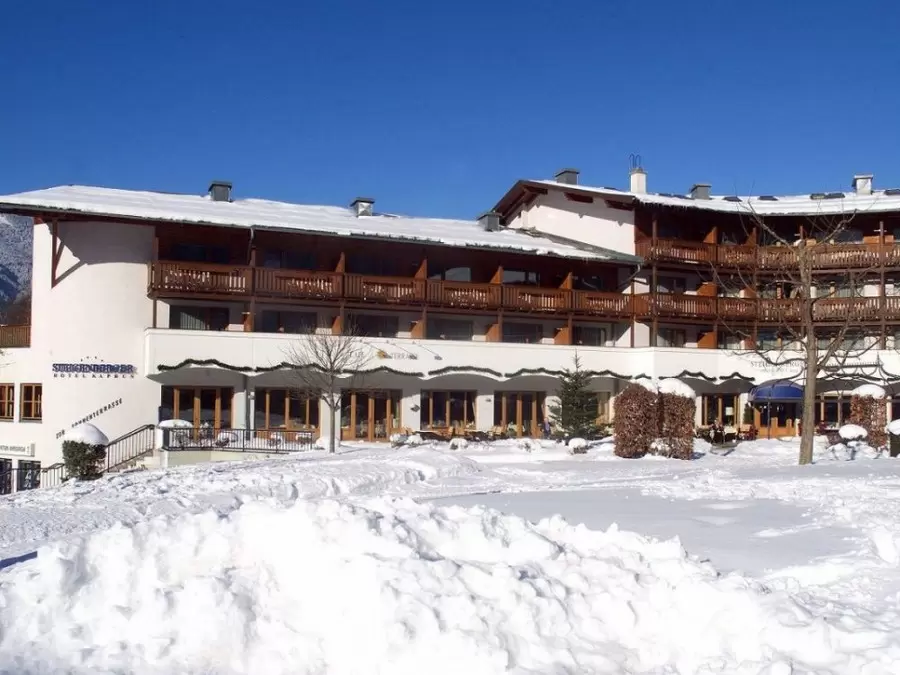 Hotel Das Alpenhaus 4*