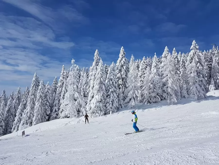 Austrija Zimovanje