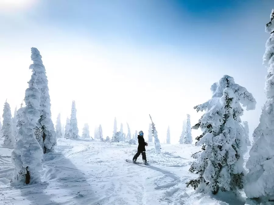 Srbija