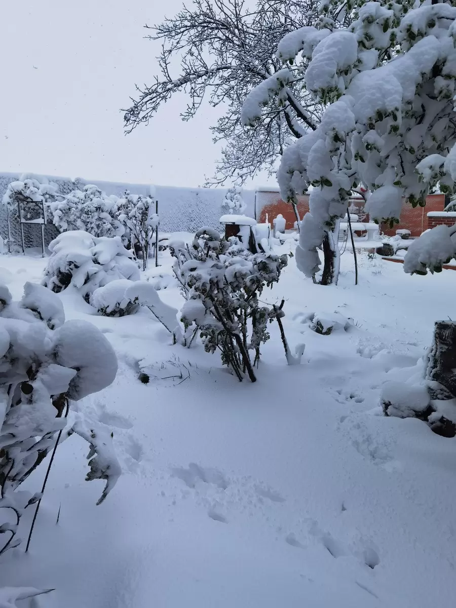 Srbija Zimovanje